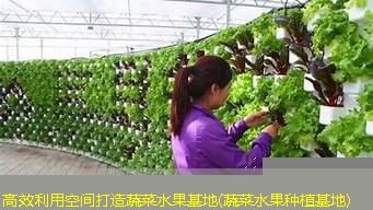 高效利用空间打造蔬菜水果基地(蔬菜水果种植基地)